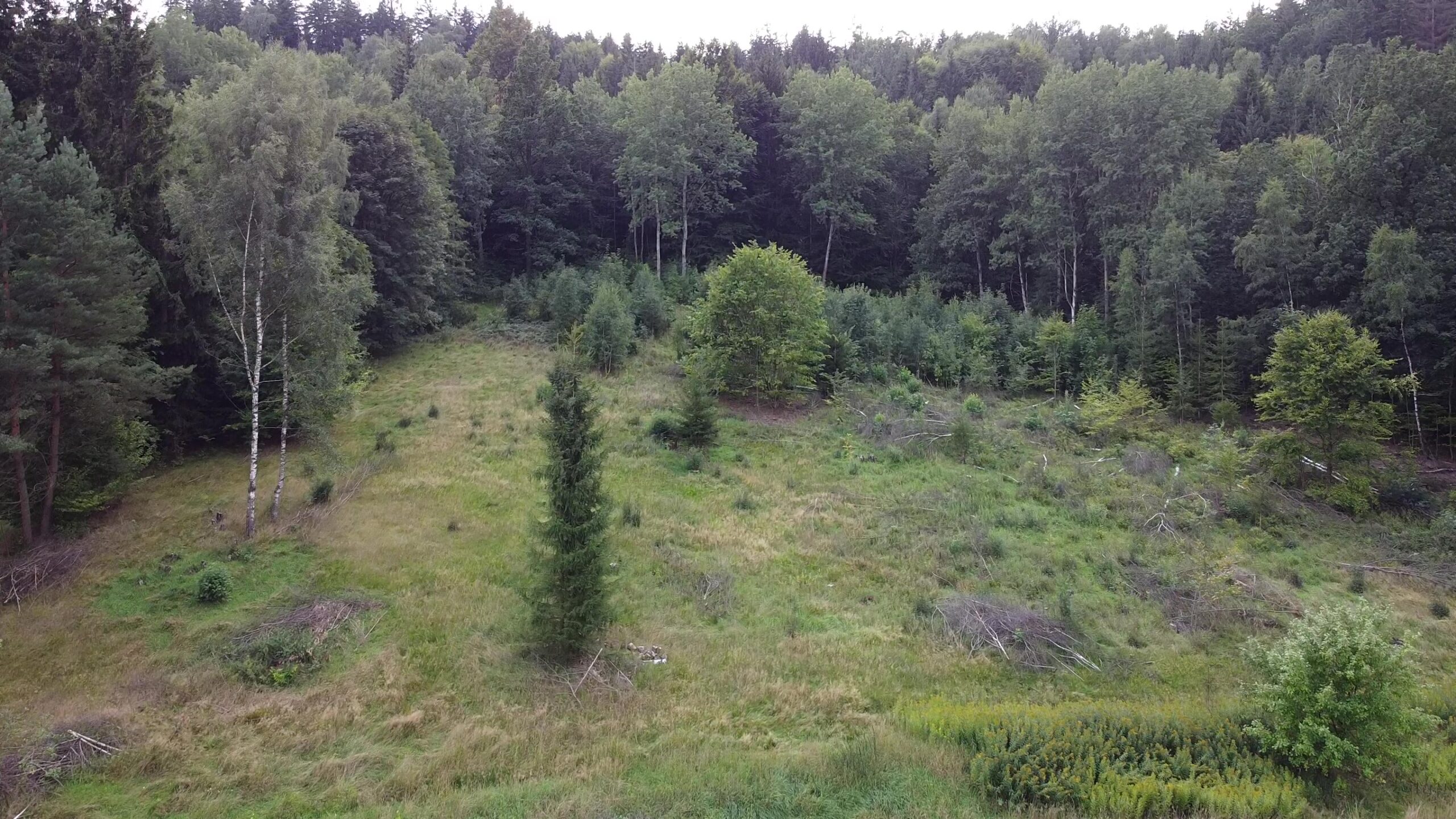 DJI_0074 - frame at 0m9s